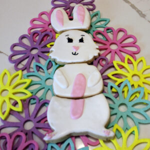 Easter Bunny cookie set